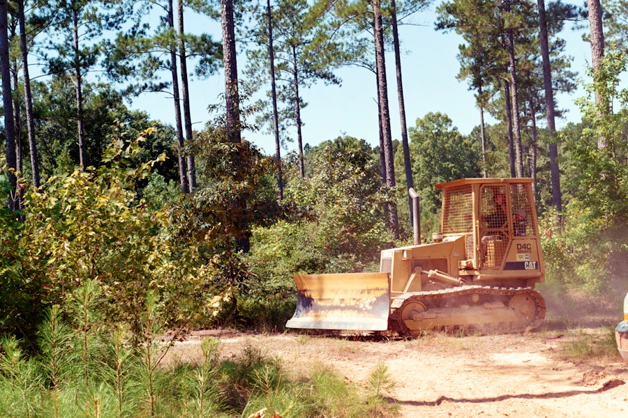 Bulldozer clearing brush in a wooded area