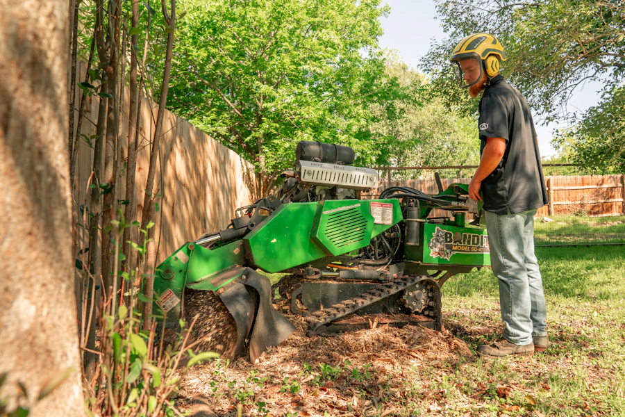 Worker operating a tree stump grinder
